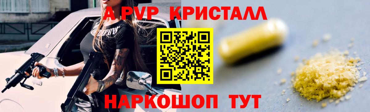 A PVP СК Шадринск